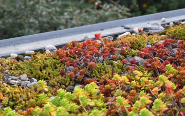 the cost of Killowen green roof installation