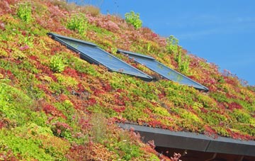 Killowen living roof systems