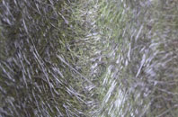 Killowen fibreglass roof work